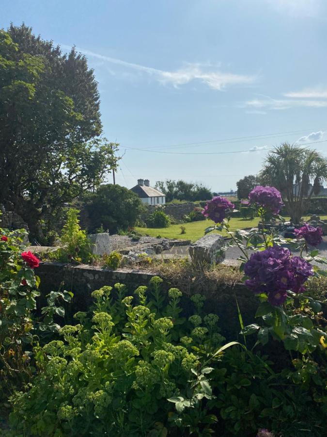 Clonmore Lodge B&B Quilty Exteriör bild