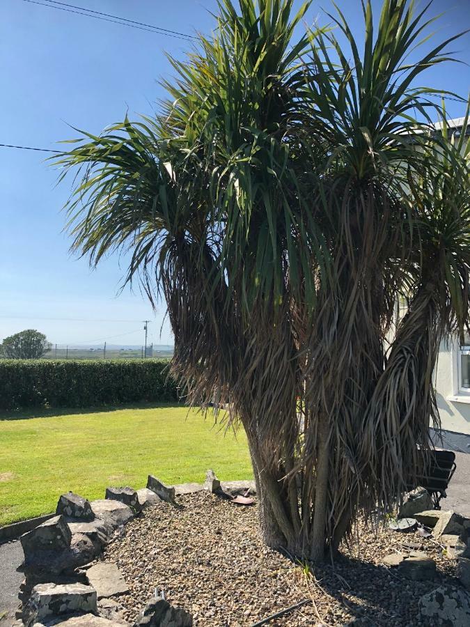Clonmore Lodge B&B Quilty Exteriör bild