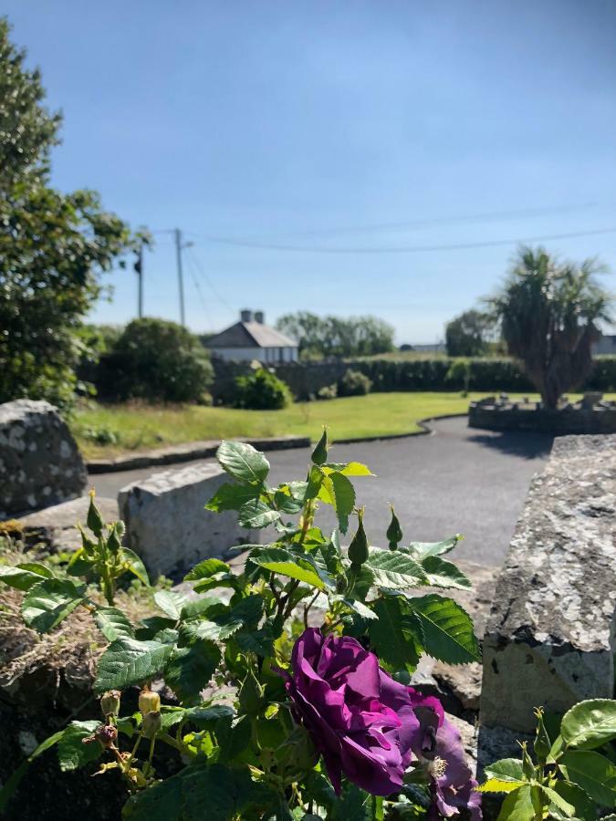 Clonmore Lodge B&B Quilty Exteriör bild